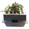 Garden Starter 25